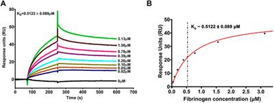 Fibrinogen Mitigates Prion-Mediated Platelet Activation and Neuronal Cell Toxicity